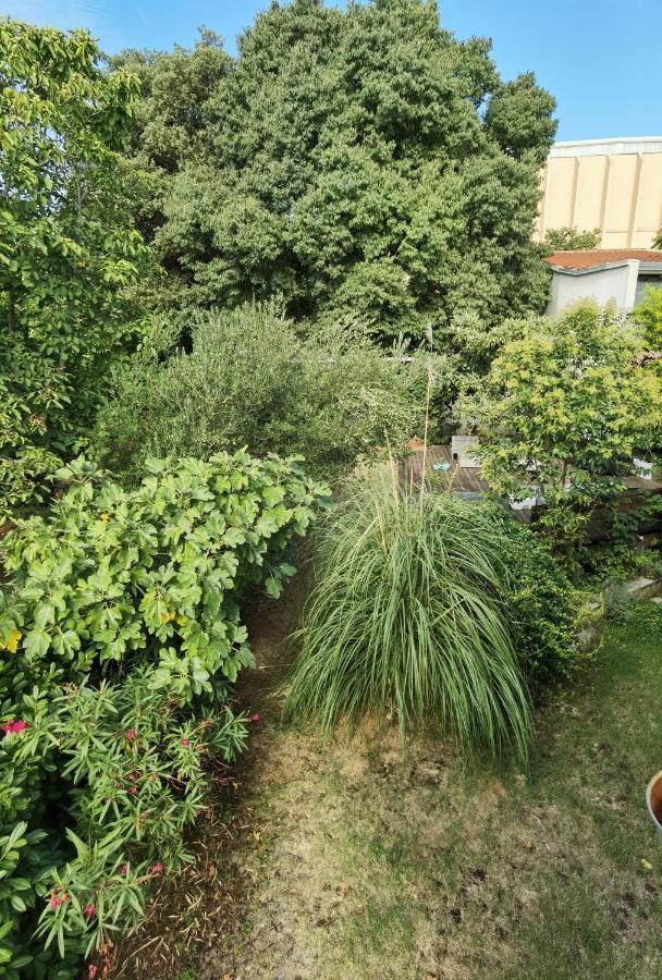 Pine And Lime Apartments Pula Ngoại thất bức ảnh
