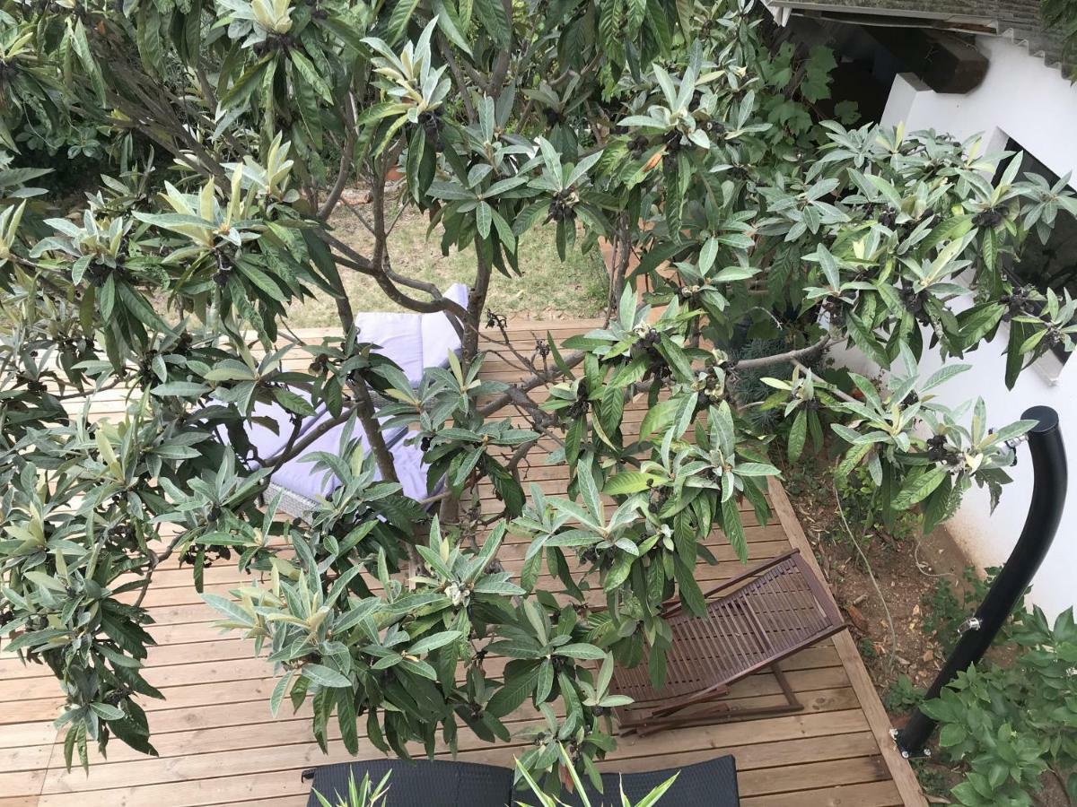 Pine And Lime Apartments Pula Ngoại thất bức ảnh